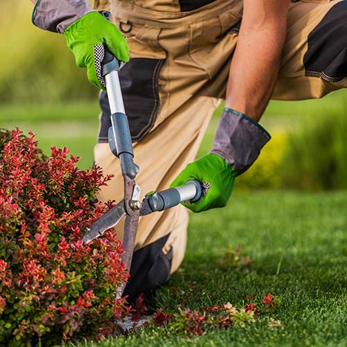 Link Travaux