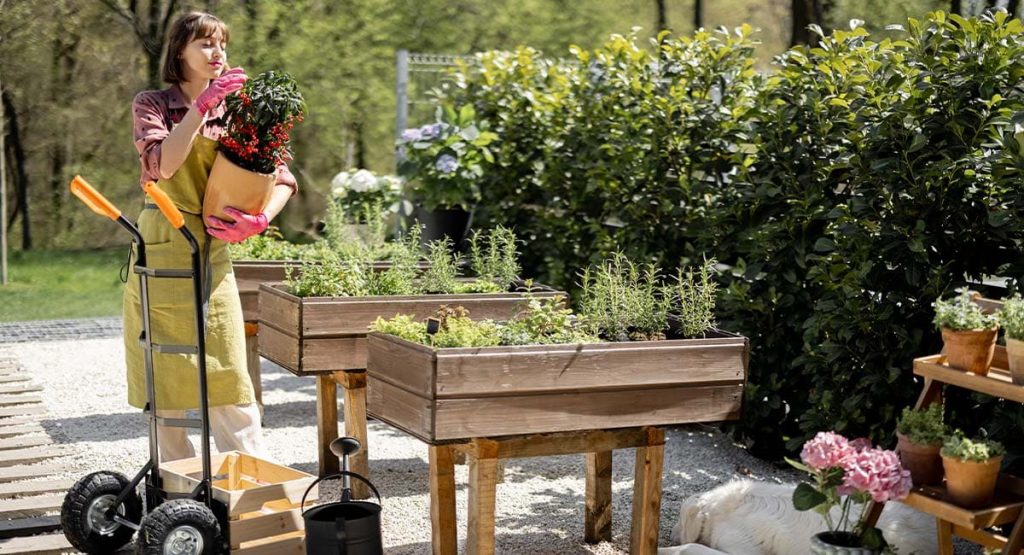 Artisan spécialisé en conception de jardins urbains et terrasses végétalisées