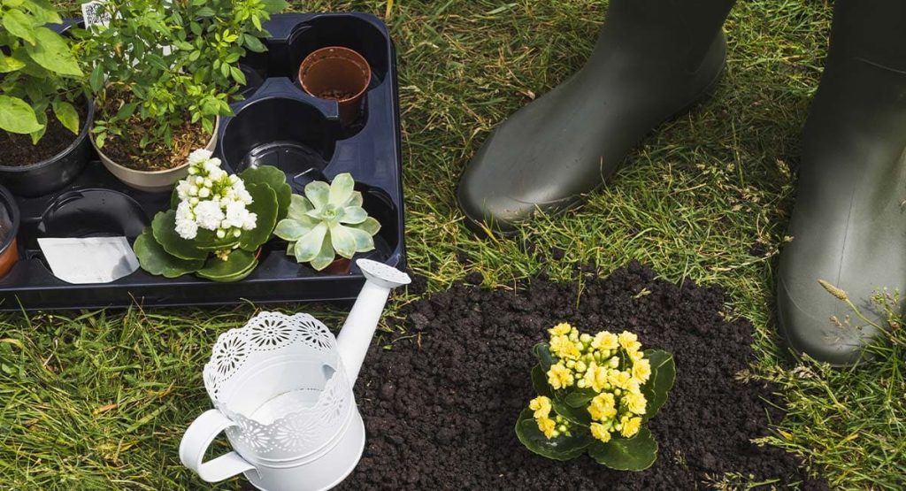 Installation de systèmes d’arrosage automatique pour jardins et espaces verts