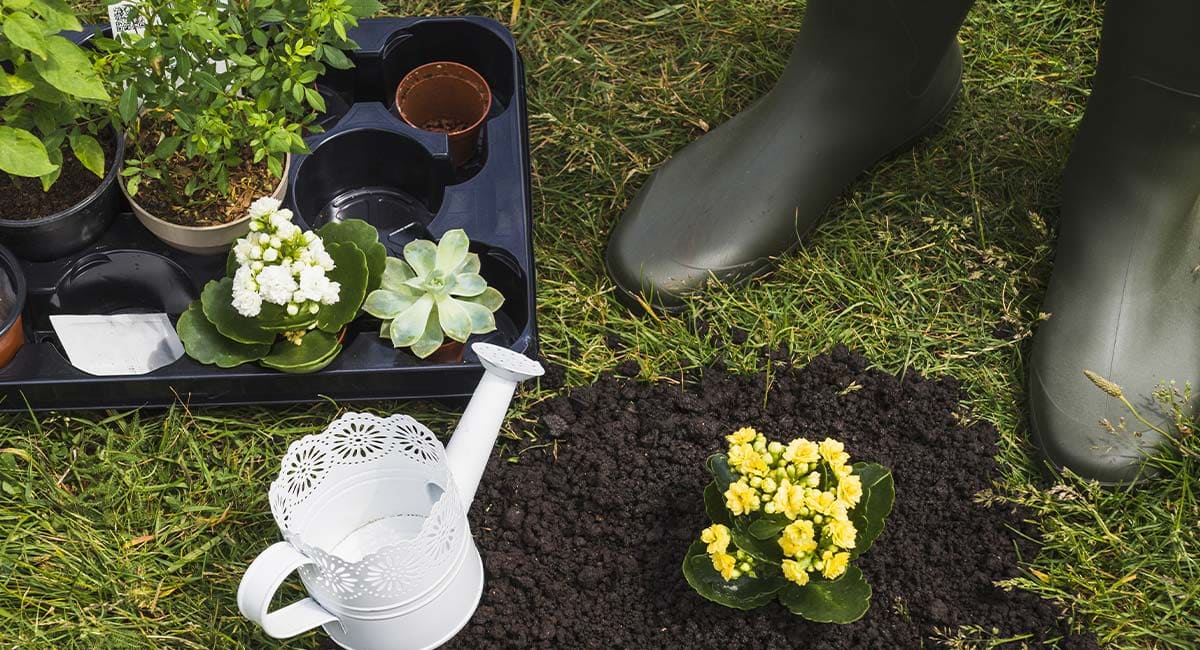 Installation de systèmes d’arrosage automatique pour jardins et espaces verts