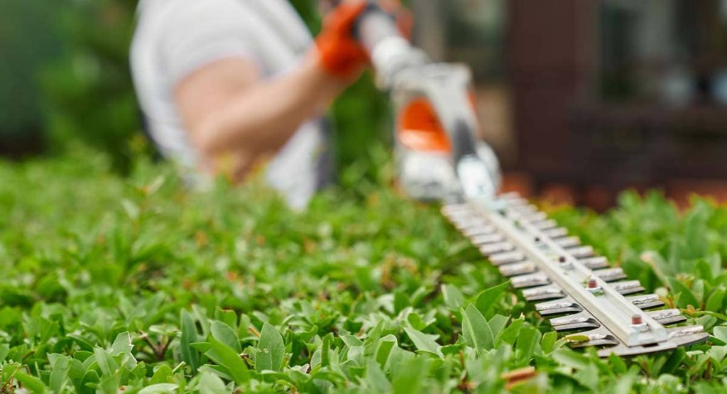 Entretien d’espaces verts par artisan jardinier