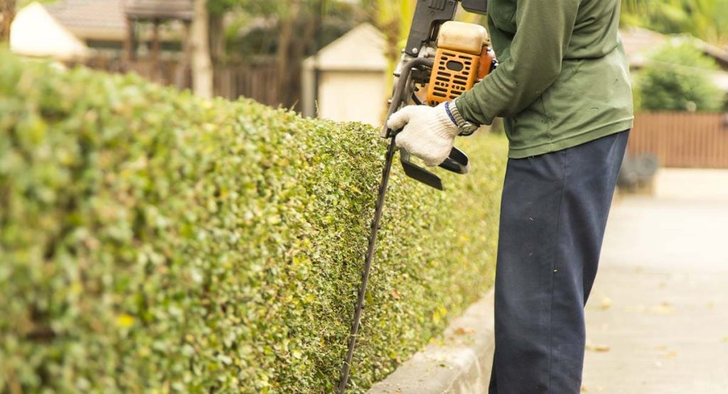 Artisan jardinier réalisant des travaux d’aménagement extérieur