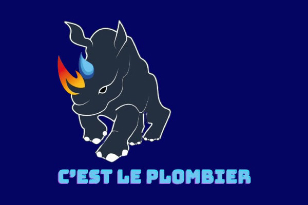 Logo CEST LE PLOMBIER - Annuaire Artisans Pros
