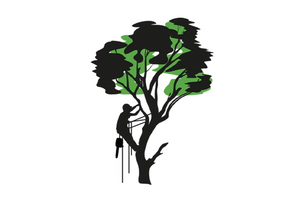Logo Artisan Peter Arboriste Grimpeur - Annuaire Artisans Pros