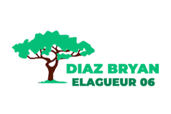 Logo Diaz Bryan Elagueur 06 - Annuaire Artisans Pros