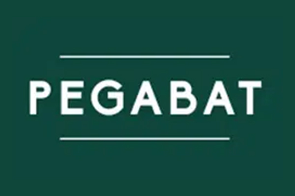 Logo Pegabat - Annuaire Artisans Pros