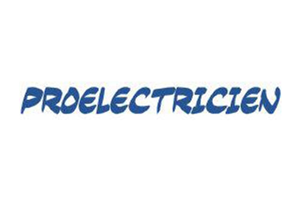 Logo Pro Electricien - Annuaire Artisans Pros