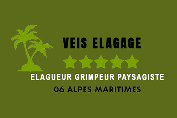 Logo Veis Elagage 06 - Annuaire Artisans Pros