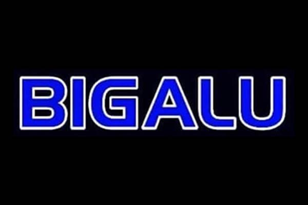 Logo Big Alu - Annuaire Artisans Pros