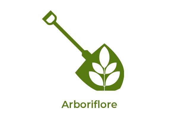Logo Arboriflore - Annuaire Artisans Pros