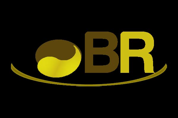Logo Jardin BR Menuiserie - Annuaire Artisans Pros