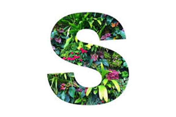 Logo Scotto Paysages - Annuaire Artisans Pros