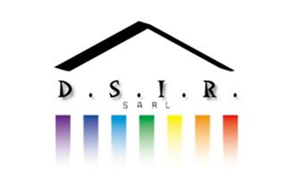 Logo DSIR - Annuaire Artisans Pros