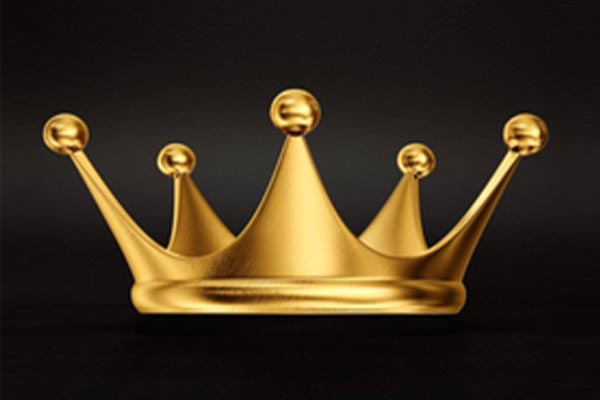 Logo King Net - Annuaire Artisans Pros