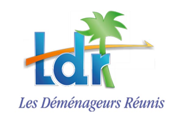 Logo Les Demenageurs Reunis - Annuaire Artisans Pros