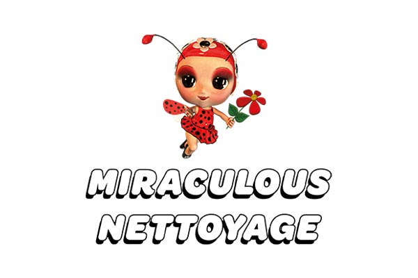 Logo Miraculous Nettoyage - Annuaire Artisans Pros
