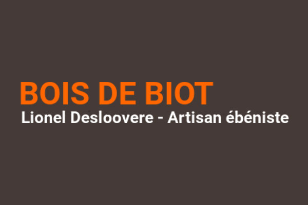 Logo Monsieur Lionel Desloovere - Annuaire Artisans Pros